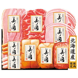 yGg[P10{z Ε  N[| Mtg n ECi[ {n kC v~A m ^:UKH-110 Ε Ε 2025  ~ p lߍ킹  ΕMt