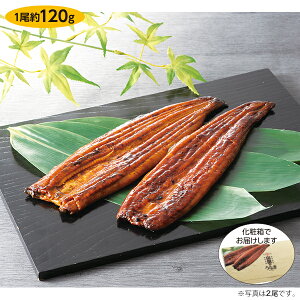 Ε  N[| Mtg V Ȃ  RcY Y RĉȂăZbgiϔj3 Ε Ε 2025  ~ p lߍ킹  ΕMtg lC 