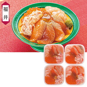 Ε  N[| ~Mtg Mtg CN ێsHi ӂT[CN̋ Ε Ε 2025  ~ p lߍ킹  ΕMtg lC  i Fl e Ƒ 