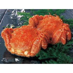 yGg[P10{z Ε  N[| ~Mtg Mtg  Jj т kC {Cт Ε Ε 2025  ~ p lߍ킹  ΕMtg lC 