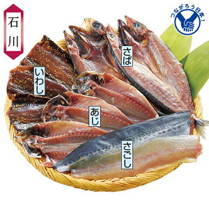 Ε  N[| Mtg   \o銱 Ε Ε 2025  ~ p lߍ킹  ΕMtg lC  i Fl e Ƒ e  j j 