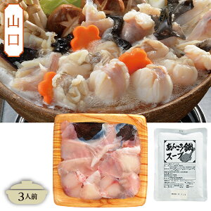 Ε  N[| Mtg  Zbg 񂱂 R 񂱂Zbg Ε Ε 2025  ~ p lߍ킹  ΕMtg lC  i Fl e Ƒ e