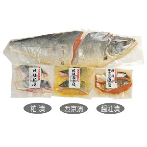 yGg[P10{z Ε  N[| ~Mtg Mtg  Ⴏ  Dyt[Y kCYHؐgl Ε Ε 2025  ~ p lߍ킹  ΕMtg 