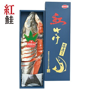 yGg[P10{z Ε  N[| ~Mtg Mtg  Ⴏ  VA gp Ε Ε 2025  ~ p lߍ킹  ΕMtg lC  i F