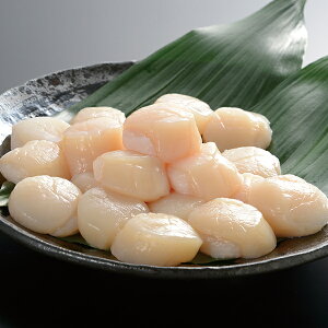 Ε  N[| ~Mtg Mtg z^e  kCY ⓀL Ε Ε 2025  ~ p lߍ킹  ΕMtg lC  i Fl e Ƒ e  