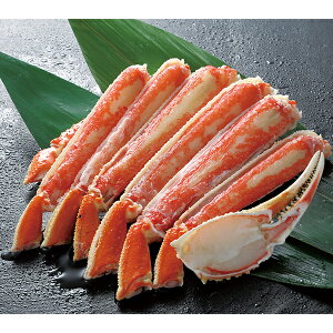 yGg[P10{z Ε  N[| ~Mtg Mtg  Jj 킢 YCKj {C킢ɃJbg 600g Ε Ε 2025  ~ p lߍ킹  