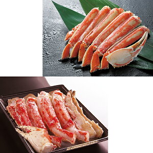 Ε  N[| ~Mtg Mtg  Jj 킢 ΂  MhY {C킢ɑrE{C{΂ɃZbg Ε Ε 2025  ~ p lߍ킹