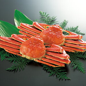 yGg[P10{z Ε  N[| ~Mtg Mtg  Jj 킢 YCKj {C킢Ɏp2 1kg Ε Ε 2025  ~ p lߍ킹  Ε