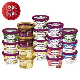 お歳暮 冬ギフト ギフト アイスクリーム ハーゲンダッツ 堪能セット 御歳暮 歳暮 2025 送料無料 冬 贈答用 詰め合わせ お取り寄せ 歳暮ギフト 人気 高級 上司 友人 親戚 家族 両親 同僚 内祝い お祝い 御祝 お礼 御礼