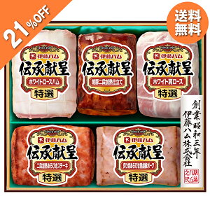 y21OFFz Ε  N[| ~Mtg Mtg n ē Xe[L ɓn `Mtg GM-58 Ε Ε 2025  ~ p lߍ킹  ΕMtg lC  i 