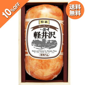 y5,400~4,860~z y10%OFF SALEz Ε  N[| Mtg n [Xn MBn [Xnyiؔj XO-50 Ε Ε 2025  ~ p lߍ킹  