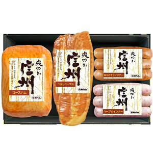 Ε  N[| Mtg n ECi[ MBn u₩MBlMtg S-304 Ε Ε 2025  ~ p lߍ킹  ΕMtg lC  i Fl e Ƒ 