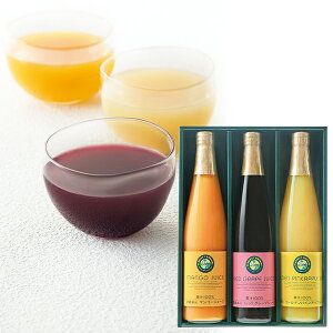 お歳暮 早割 クーポン ギフト ジュース フロリダスモーニング マンゴー&フルーツ100%ジュース 型番:MGP30 御歳暮 歳暮 2025 送料無料 冬 贈答用 詰め合わせ お取り寄せ 歳暮ギフト 人気 高級