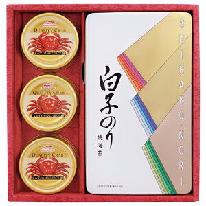 Ε  N[| Mtg ̂ C q CہEJjʋl ^:SN-300 Ε Ε 2025  ~ p lߍ킹  ΕMtg lC  i Fl e Ƒ e  