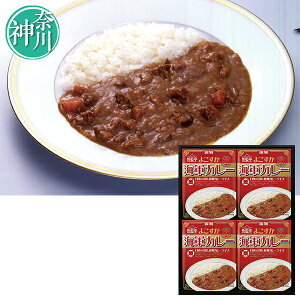 お歳暮 早割 クーポン ギフト カレー 白子 よこすか海軍カレー 型番:NV 御歳暮 歳暮 2025 送料無料 冬 贈答用 詰め合わせ お取り寄せ 歳暮ギフト 人気 高級 上司 友人 親戚 家族 両親 同僚 内祝