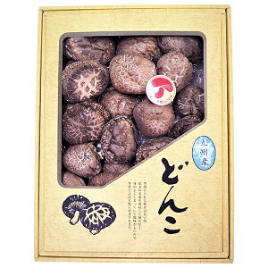 Ε  N[| Mtg   Bő̔ ől ^:KS-50 Ε Ε 2025  ~ p lߍ킹  ΕMtg lC  i Fl e Ƒ e 