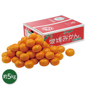 お歳暮 早割 クーポン ギフト フルーツ みかん 愛媛県産 うわの赤箱みかん 御歳暮 歳暮 2025 送料無料 冬 贈答用 詰め合わせ お取り寄せ 歳暮ギフト 人気 高級 上司 友人 親戚 家族 両親 同僚