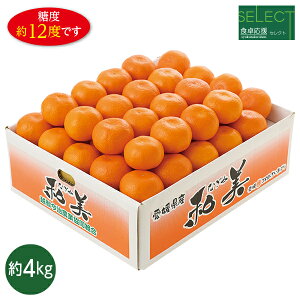 yGg[P10{z Ε  N[| ~Mtg Mtg t[c ݂ QY H쉞ZNgaiȂ݁j݂ Ε Ε 2025  ~ p lߍ킹 