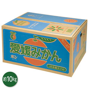 yGg[P10{z Ε  N[| ~Mtg Mtg t[c ݂ QY zq݂ Ε Ε 2025  ~ p lߍ킹  ΕMtg lC  i