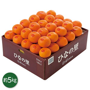 Ε  N[| Mtg t[c ݂ QY ^݂iЂȂ̗j 5kg Ε Ε 2025  ~ p lߍ킹  ΕMtg lC  i Fl e Ƒ 