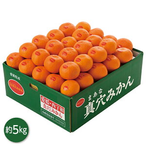 お歳暮 早割 クーポン ギフト フルーツ みかん 愛媛県産 真穴みかん 5kg 御歳暮 歳暮 2025 送料無料 冬 贈答用 詰め合わせ お取り寄せ 歳暮ギフト 人気 高級 上司 友人 親戚 家族 両親 同僚 内祝