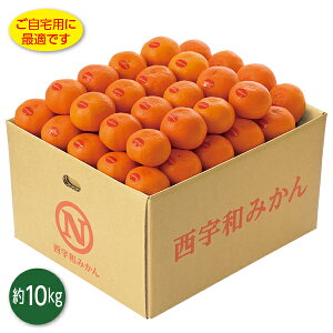 Ε  N[| Mtg t[c ݂ QY ^݂i̕j Ε Ε 2025  ~ p lߍ킹  ΕMtg lC  i Fl e Ƒ e 