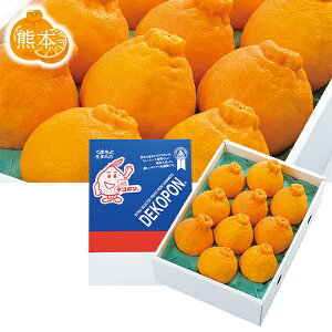 お歳暮 早割 クーポン ギフト フルーツ デコポン 熊本県産 デコポン 御歳暮 歳暮 2025 送料無料 冬 贈答用 詰め合わせ お取り寄せ 歳暮ギフト 人気 高級 上司 友人 親戚 家族 両親 同僚 内祝い