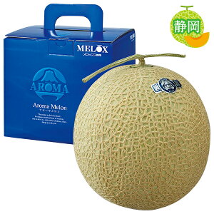 Ε  N[| Mtg t[c  É _Ƌg A[} Ε Ε 2025  ~ p lߍ킹  ΕMtg lC  i Fl e 