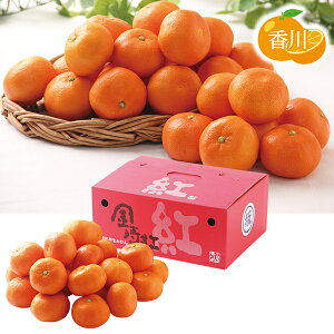 yGg[P10{z Ε  N[| ~Mtg Mtg t[c ݂ 쌧Y g݂ Ε Ε 2025  ~ p lߍ킹  ΕMtg lC  