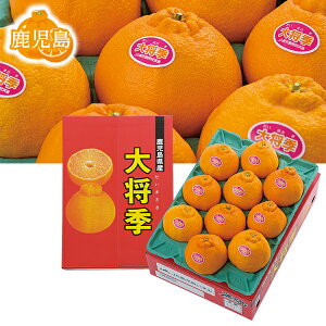 yGg[P10{z Ε  N[| ~Mtg Mtg t[c fR| Y 叫GifR|j Ε Ε 2025  ~ p lߍ킹  ΕMtg 