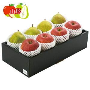 Ε  N[| Mtg t[c  tX R`Y x13xȏ̃TӂEtXl Ε Ε 2025  ~ p lߍ킹  ΕMtg l