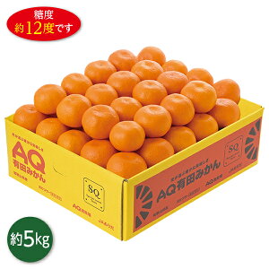 Ε  N[| Mtg t[c ݂ a̎RY AQLc݂SQ Ε Ε 2025  ~ p lߍ킹  ΕMtg lC  i Fl e Ƒ e  