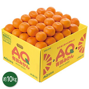 Ε  N[| Mtg t[c ݂ a̎RY AQLc݂ Ε Ε 2025  ~ p lߍ킹  ΕMtg lC  i Fl e Ƒ e  j