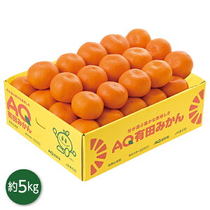 お歳暮 早割 クーポン ギフト フルーツ みかん 和歌山県産 AQ有田みかん 御歳暮 歳暮 2025 送料無料 冬 贈答用 詰め合わせ お取り寄せ 歳暮ギフト 人気 高級 上司 友人 親戚 家族 両親 同僚 内祝