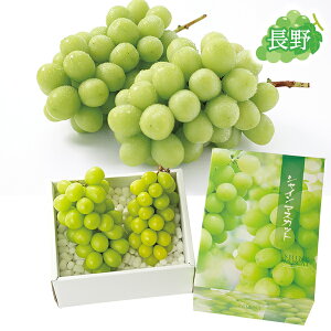 お歳暮 早割 クーポン ギフト フルーツ シャインマスカット 長野県産 シャインマスカット1.2kg化粧箱 御歳暮 歳暮 2025 送料無料 冬 贈答用 詰め合わせ お取り寄せ 歳暮ギフト 人気 高級 上司
