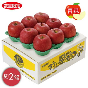 お歳暮 早割 クーポン ギフト フルーツ りんご 青森県産 蜜入り林檎星蜜っつ 御歳暮 歳暮 2025 送料無料 冬 贈答用 詰め合わせ お取り寄せ 歳暮ギフト 人気 高級 上司 友人 親戚 家族 両親 同僚