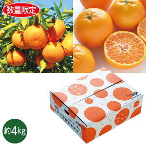 yGg[P10{z Ε  N[| ~Mtg Mtg t[c ݂ QY ˂̐P Ε Ε 2025  ~ p lߍ킹  ΕMtg lC  