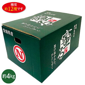 お歳暮 早割 クーポン ギフト フルーツ みかん 愛媛県産 蜜るみかん 御歳暮 歳暮 2025 送料無料 冬 贈答用 詰め合わせ お取り寄せ 歳暮ギフト 人気 高級 上司 友人 親戚 家族 両親 同僚 内祝い