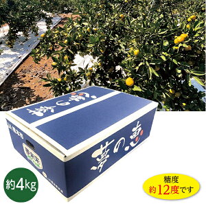 Ε  N[| Mtg t[c ݂ F{Y  ̌b݂ Ε Ε 2025  ~ p lߍ킹  ΕMtg lC  i Fl e Ƒ e 