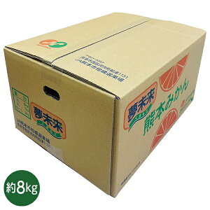 Ε  N[| Mtg t[c ݂ F{Y ݂ 8kg Ε Ε 2025  ~ p lߍ킹  ΕMtg lC  i Fl e Ƒ e  