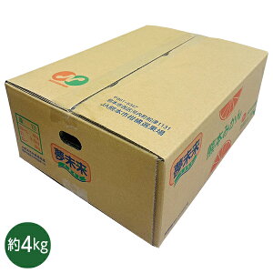 Ε  N[| ~Mtg Mtg t[c ݂ F{Y ݂ 4kg Ε Ε 2025  ~ p lߍ킹  ΕMtg lC  i Fl e Ƒ 