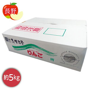 お歳暮 早割 クーポン ギフト フルーツ りんご 長野県産 志賀高原サンフジ 5kg 御歳暮 歳暮 2025 送料無料 冬 贈答用 詰め合わせ お取り寄せ 歳暮ギフト 人気 高級 上司 友人 親戚 家族 両親 同