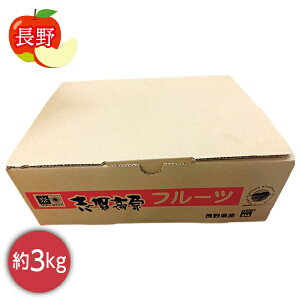 お歳暮 早割 クーポン ギフト フルーツ りんご 長野県産 志賀高原サンフジ 3kg 御歳暮 歳暮 2025 送料無料 冬 贈答用 詰め合わせ お取り寄せ 歳暮ギフト 人気 高級 上司 友人 親戚 家族 両親 同