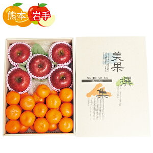 お歳暮 早割 クーポン ギフト フルーツ りんご みかん 熊本県/岩手県産 夢の恵みかんとりんご詰め合わせ 御歳暮 歳暮 2025 送料無料 冬 贈答用 詰め合わせ お取り寄せ 歳暮ギフト 人気 高級 上