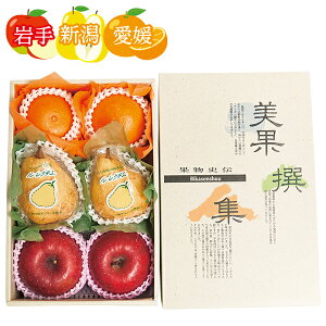 お歳暮 早割 クーポン ギフト フルーツ りんご 岩手県/新潟県/愛媛県産 サンフジ、ル・レクチェ、紅まどんな詰め合わせ 御歳暮 歳暮 2025 送料無料 冬 贈答用 詰め合わせ お取り寄せ 歳暮ギフ