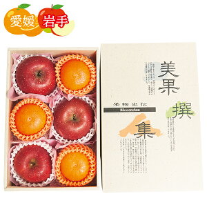 お歳暮 早割 クーポン ギフト フルーツ りんご 愛媛県/岩手県産 紅まどんなとりんご詰め合わせ 御歳暮 歳暮 2025 送料無料 冬 贈答用 詰め合わせ お取り寄せ 歳暮ギフト 人気 高級 上司 友人