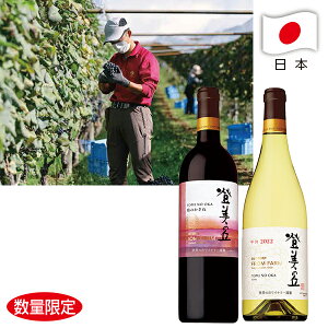 Ε ~Mtg Mtg C ݔ Tg[tt@[ őu ԔCZbg Ε Ε 2025  ~ p lߍ킹  ΕMtg lC  i Fl 