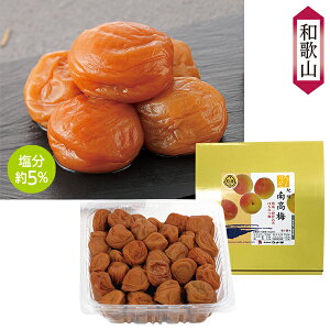 Ε  N[| Mtg ~ ~ E^ IIB썂~XC[g݂͂ Ε Ε 2025  ~ p lߍ킹  ΕMtg lC  i Fl e Ƒ e 