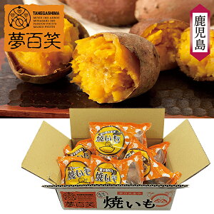 Ε  N[| Mtg XC[c Ă S  Ă Ε Ε 2025  ~ p lߍ킹  ΕMtg lC  i Fl e Ƒ e  j 