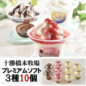 ギフト アイスクリーム 洋菓子 ディームファクトリー 十勝橋本牧場プレミアムソフト10個セット プレゼント お取り寄せ 高級 人気